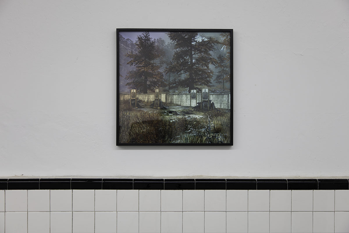 Photographs Installation Image